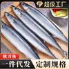 Pescado de Mar Profundo Grande Fresco y Congelado Pez Cuchillo de Otoño Estilo Japonés Venta al por Mayor Comercial Dropshipping