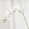 Flor artificial Phalaenopsis de 9 cabezas, decoración para hotel, hogar, boda, arreglo floral en maceta, planta verde de simulación, venta al por mayor