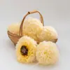 Fujian Gutian oreja de plata fresca 6 flores/7 flores fácil glutinoso multi-pegamento sin espuma sopa de oreja de plata Jingdong SF directo