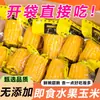 Maíz dulce en trozos de fruta listo para comer, snack sin cocción, envasado al vacío, apto para reemplazo de comida en el trabajo