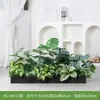 [Série Hc-An7] Caixa de Flores de Planta Verde Simulada Decoração de Sala de Estar Interna Janela de Chão a Teto Paisagismo Fotografia de Casamento Estrada