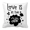 Feliz Día de San Valentín Feliz Funda de Almohada Piel de Durazno Funda de Almohada Plataforma Transfronteriza Suministro de Fábrica zxt561