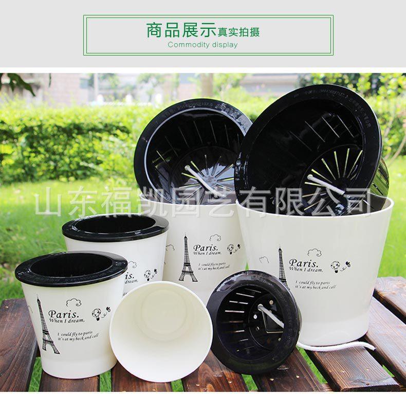 风情款详情页_01