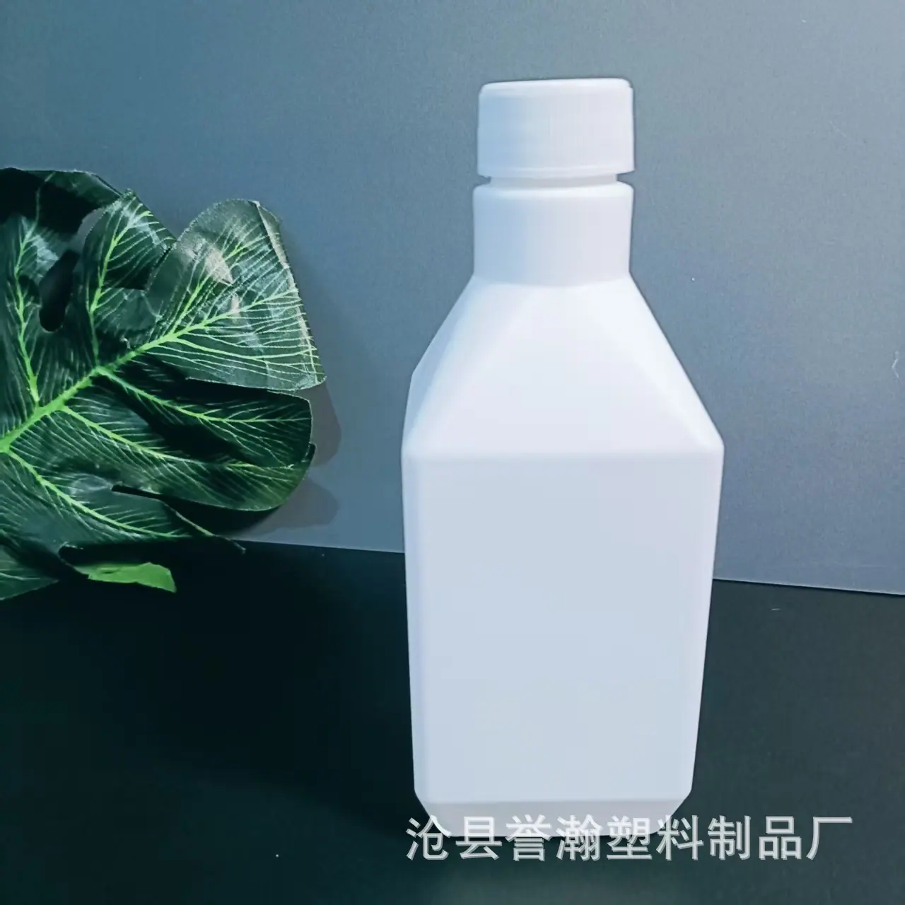 微信图片_20250408184356