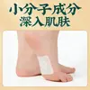Parches para Pies Wu Zhu Yu, Parches para Pies de Artemisa, Parches para Pies de Jengibre y Canela, Parches Energéticos para Pies, Parches para Pies para Dormir, Parches Ligeros para Postura Estilo Doukua