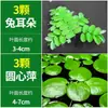 Colección Integral de Plantas Acuáticas para Purificación de Agua, Paisajismo Tradicional para Acuarios, Nenúfares Hidropónicos, Hibisco Acuático, Plantas Acuáticas de Hoja de Malvarisco, Entrega Directa desde la Granja