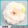 Cabeza de Rosa de Simulación Flor de Rosa Boda Pared de Flores de Boda Camino Flor Ropa de Flor Caja de Flores Fotografía de Flores Vestido de Flor de Seda