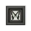 Mariposa Verde - Especímenes de Mariposas, Mariposas Reales, Diversas Especies de Mariposas de Alas Extendidas, Mariposas Originales para Enseñanza, Regalo para Amigos, Regalo de Cumpleaños con un Toque de Lujo