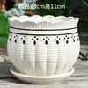 Maceta de Cerámica Tamaño Grande Oferta Especial Liquidación Interior Escritorio Balcón Suculenta Maceta Pequeña Clorofito Helecho Espárrago Maceta Simple Blanca