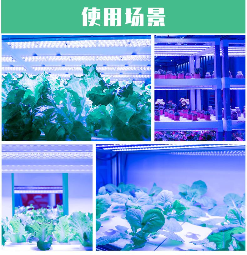 USB-手扫感应冰蓝-植物灯带-_13.jpg