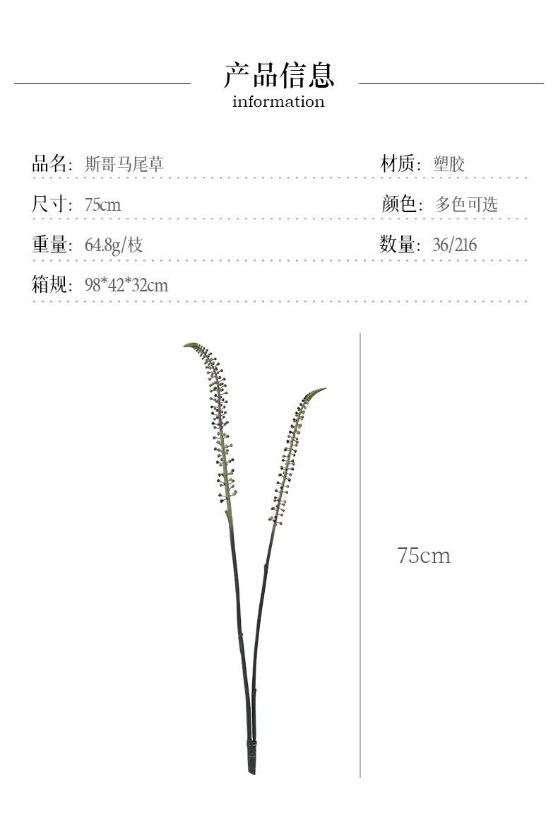 斯哥马尾草_03.jpg