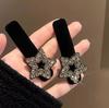 Zhao Rusi Mismo Estilo Pinza para Agarrar Plumas Pinza de Tiburón Ostracus Cabello Súper Hada Sentido de Alta Gama 2025 Nuevo Estilo Popular en Tiktok e Internet