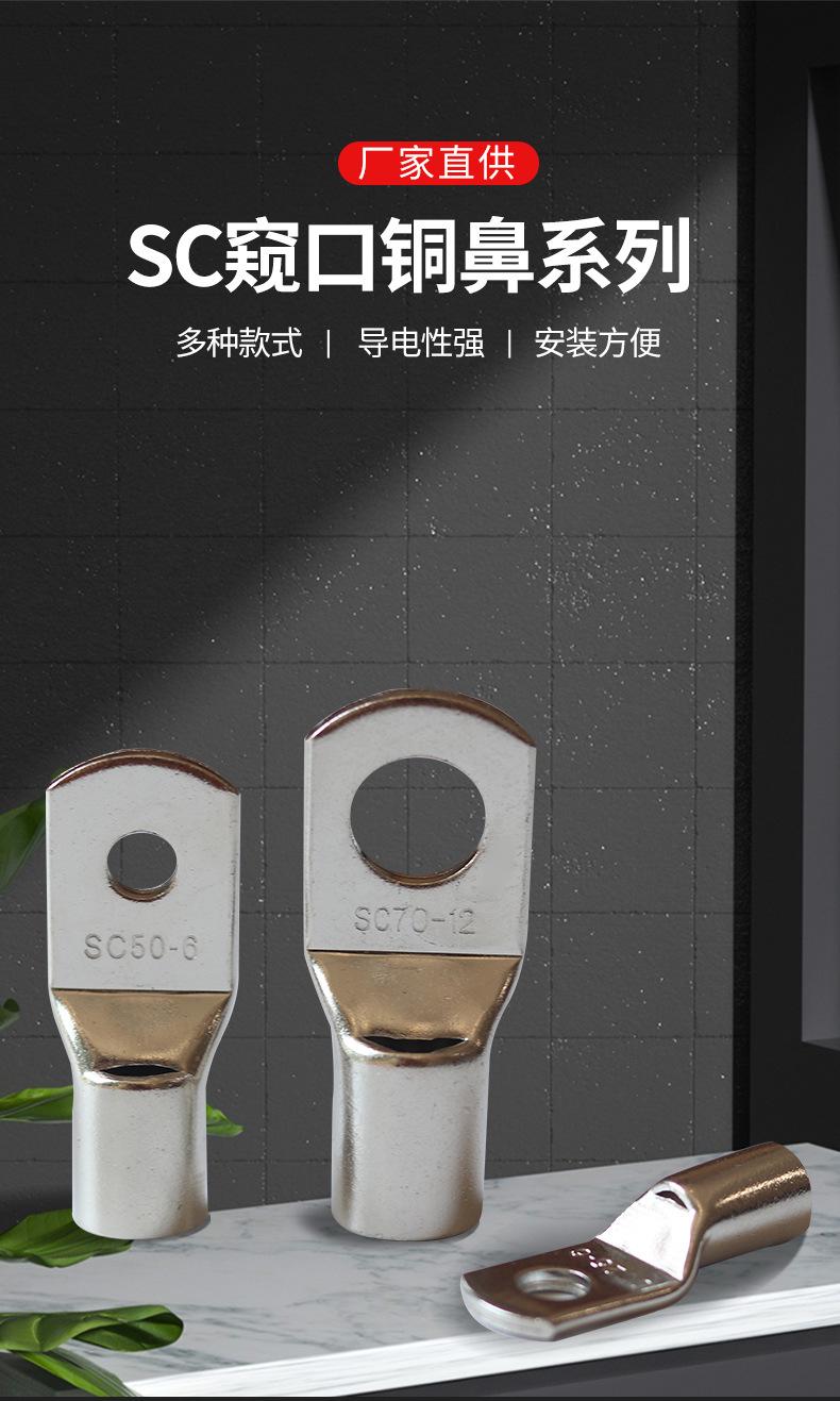 SC窥口铜鼻_01.jpg