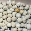 Acessórios de Frutas Marfim Defeituosos, Artesanato em Forma de Coelho e Lingote, Pulseiras Feitas à Mão DIY, Joias da Moda