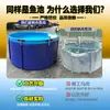 Jilong Estanque de Peces de Lona Acero Inoxidable Redondo Depósito de Agua Tanque para Koi Estanque Temporal de Cría con Lona Engrosada y Estructura de Soporte Juego Completo