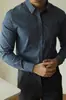 [Serie de Negocios Urbanos] Camisa de Manga Larga a Rayas con Oculta de Botones, No Planchar, Resistente a las Arrugas, para Hombre, Adecuada para el Viaje Diario de Primavera y Otoño