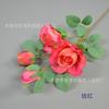 Impresión 3D 4 Flores Simuladas Rouge Rose Diseño de Escena de Boda Arco Arreglo Floral Proyecto de Jardinería Modelado de Paisaje