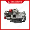 Piezas del motor bomba de combustible 4076956E790