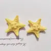 Estrela-do-mar Grande Concha Acessórios DIY Capa de Celular Crocs Sapato Grampo de Cabelo Acessórios de Cabelo Resina Acessórios Material Atacado