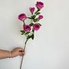 Nuevas Rosas de 6 Cabezas, Arreglo Floral para Salón de Bodas, Arreglo Floral, Decoración Suave, Rosas Disponibles en Stock