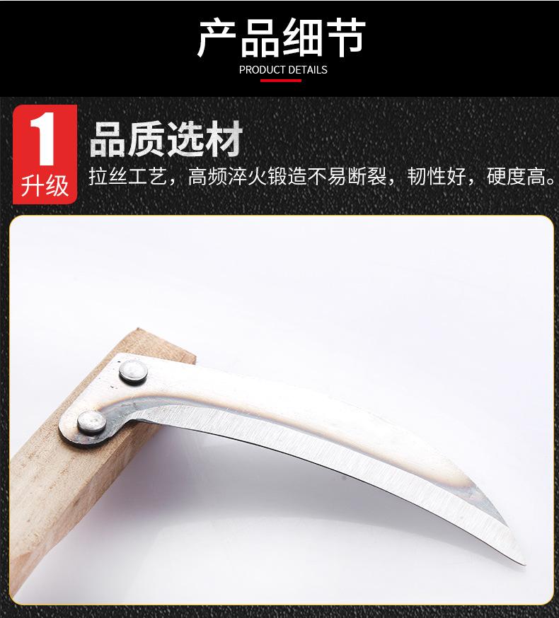 详情_12