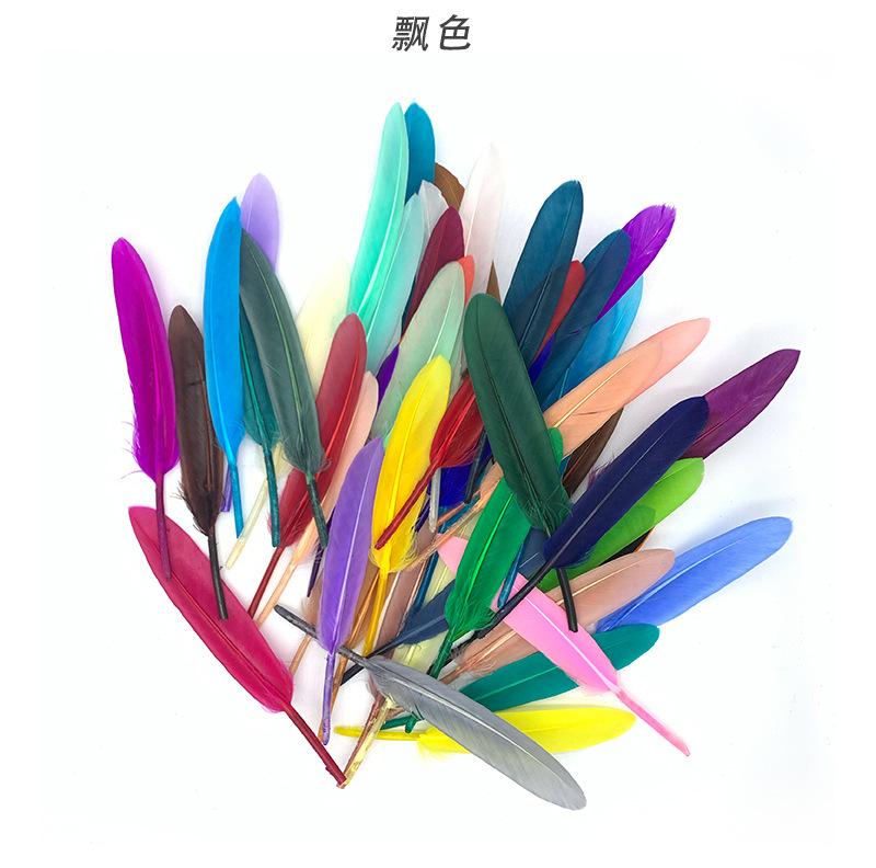 羽毛8