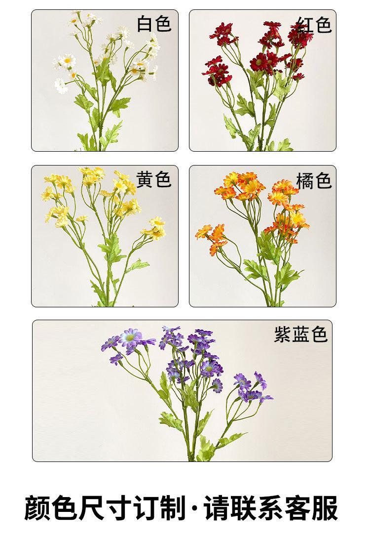 小邹菊_06.jpg
