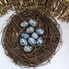 Huevos de Cristal Natural de Pascua, Huevos de Paloma de Piedra Cruda de Cristal, Huevos de Paloma Transfronterizos, Manualidades de Huevos de Pájaro