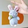 Bolso bandolera de网红 con colgante de margarita y ovejita blanca, llavero creativo de oveja de peluche para bolso, venta al por mayor