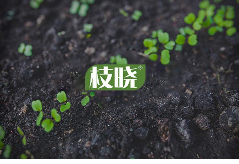 澳莉嘉详情页-硬网固定架2_01.jpg