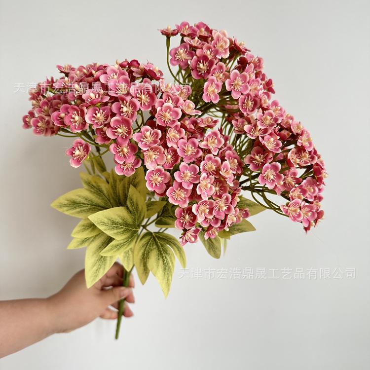 微信图片_202305101709194_副本