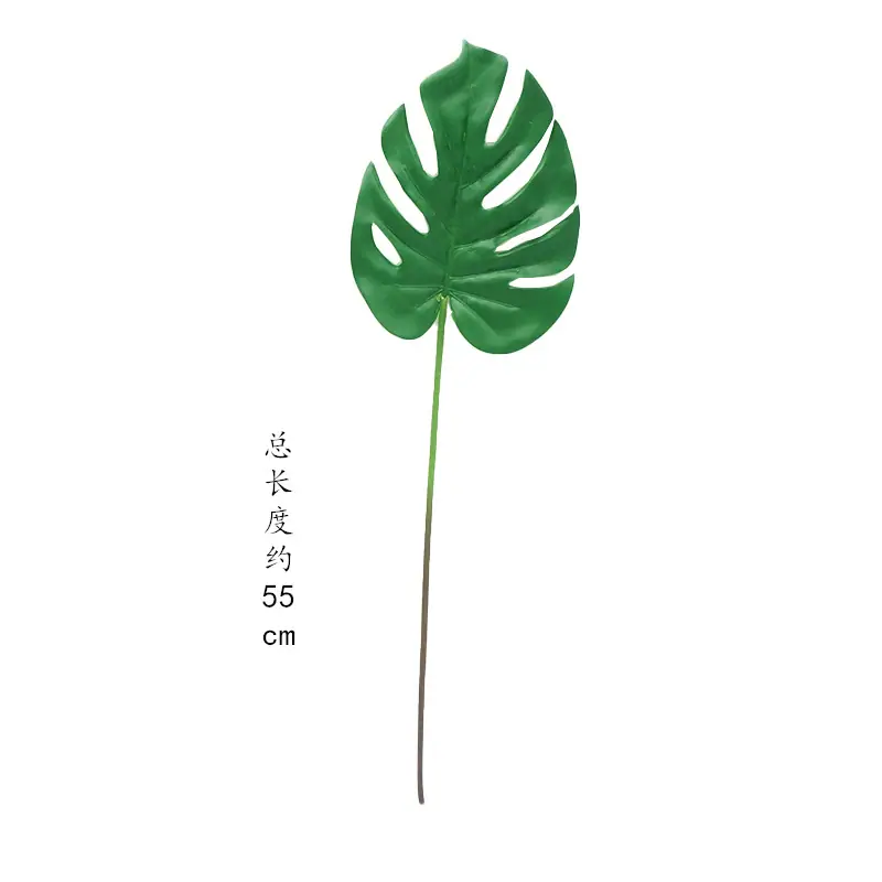 未标题-2_副本