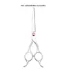 Conjunto Profissional de Suprimentos para Higiene de Animais de Estimação, Tesouras de Limpeza e Higiene, Ferramentas de Tosquia Específicas para Animais de Estimação, Ferramentas para Higiene de Cães, Prata