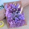 Día de la Madre Flor Eterna A5 Paquete de Material de Tablero de Flores en Relieve Marco de Fotos DIY Abanico Sombrero de Paja Material de Flores Flores Secas