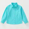 Camiseta Branca de Manga Longa Peça Única Top Branco Cor Sólida Camisa Polo Camisa Base para Meninos e Meninas Roupas de Outono Uniforme de Classe Uniforme Escolar Uniforme de Jardim
