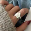Anel Liso em Prata de Lei S925 Anel com Flor Escovada e Zircônia Anel Aberto para Dedo Indicador Feminino de Nicho Alto Padrão Não Desbota Atacado