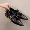 Zapatos Mary Jane poco profundos de punta para mujer talla grande, nuevos zapatos de tacón grueso con una sola correa, estilo vintage para otoño e invierno 2026, para combinar con faldas
