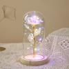 Regalo de San Valentín, flor eterna, cubierta de vidrio luminosa, nueva cubierta de vidrio transparente, rosa, decoración de escritorio, venta al por mayor