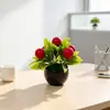 Simulación transfronteriza de 5 árboles frutales, plantas pequeñas en maceta, fruta de la suerte de Año Nuevo, bonsái de plástico, mini adornos decorativos de escritorio
