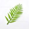 Planta de simulação planta de plástico acessórios para plantas aquáticas grama plana grande com flor de simulação feixe de planta aquática grama decorativa atacado