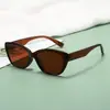 Óculos de Sol Novo Estilo para Mulheres, Óculos de Sol Modernos para Homens, Especiais para Dirigir, Óculos de Sol Versáteis para Homens, Estilo de Alta Qualidade para Mulheres