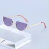 Nuevas Gafas de Sol Metálicas de Medio Marco Transfronterizas Europeas y Americanas, Fotografía Callejera de Gama Alta, Gafas de Celebridad de Internet, Gafas Personalizadas Huecas Ojo de Gato