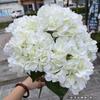 [Hortênsia de Simulação] Comércio Exterior 5 Hortênsia Francesa Hortênsia Francesa Plana para Decoração de Casamento Flor Artificial Atacado