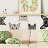 Sondagem Transfronteiriça Pequeno Animal Gato e Cachorro Adesivos de Parede Quarto Sala de Estar Entrada Parede de Fundo PVC Autoadesivo Removível