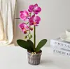 Flor de Simulación 6 Cabezas 4 Frutas Tacto Real Phalaenopsis Bonsái Flor Falsa Decoración del Hogar Fotografía Boda Flor Artificial Arreglo Floral