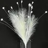 Arranjo de Flores Preservadas Flor Capim Barba de Dragão Pena Capim Pavão Capim Pom Pom Cana Biónica Decoração Colorida