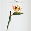 Toque Simulado de Pássaro do Paraíso High-End Colado Strelitzia Decoração de Sala de Estar Florais Hotel Decoração de Casamento Paisagismo Florais Artificiais