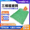 Red de Vegetación Tridimensional para Protección de Taludes, Estabilización de Suelo en Paisajismo, Tapete de Red de Vegetación Tridimensional Verde Negro