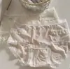 Novo Estilo Cintura Média Renda Vazada Lingerie Infantil Atacado Antibacteriana Sem Costura Macia Confortável Lingerie Sexy Feminina