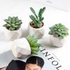 Bonsái de Planta Verde Nórdica Flor Falsa Decoración de Interior Decoración de Escritorio Biónica Suculenta Pequeña Planta en Maceta